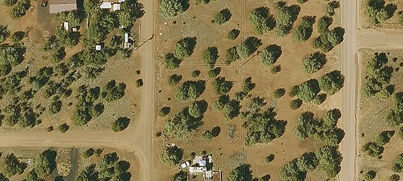 Treed Residential Buildable Lots