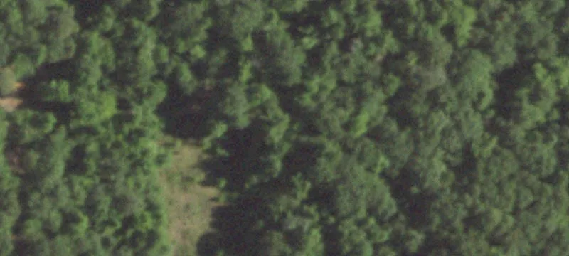 Unrestricted Wooded Land with Shop