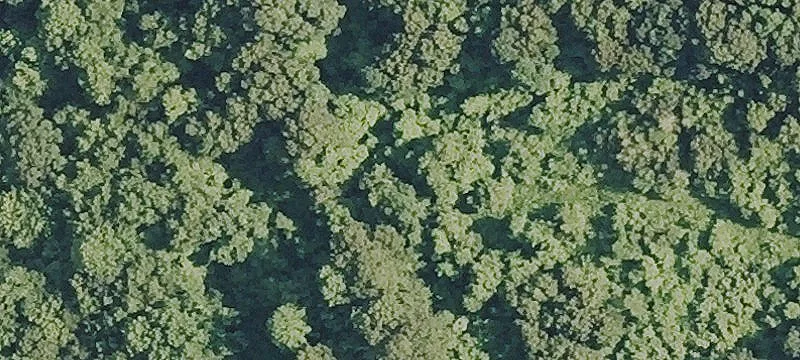 Contiguous Undeveloped Farmland Acreage