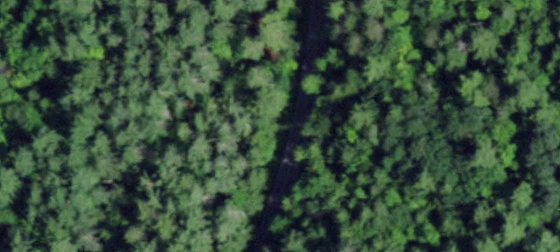 Five-Plus Acre Building Lot