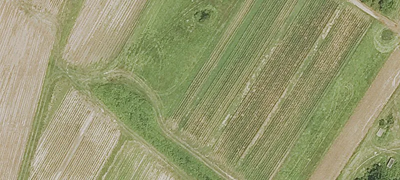 Agricultural Farm with Farm Stand