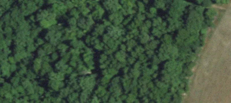Horse and Cattle Farm with Barn