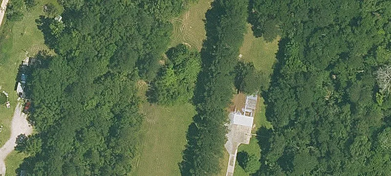Recreational Land with Pine Timber