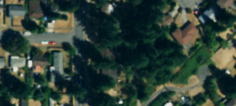 Flat Buildable Vacant Land