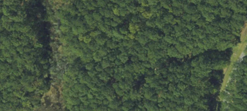 Wooded Waterfront Home Site