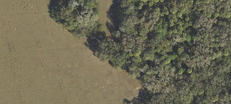 Fully Fenced Recreational Ranch Acreage