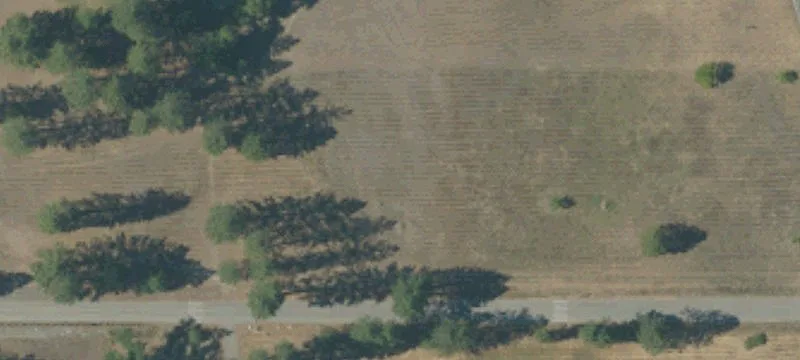 Agricultural Land Parcel