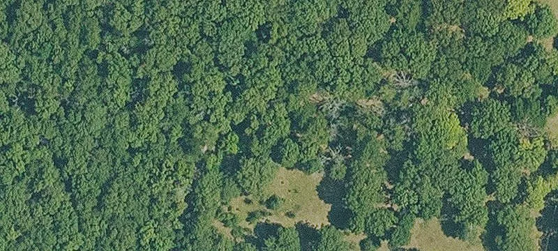 Hunting and Recreational Land Tract