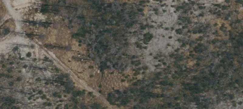 Gated Foothills Land Parcel