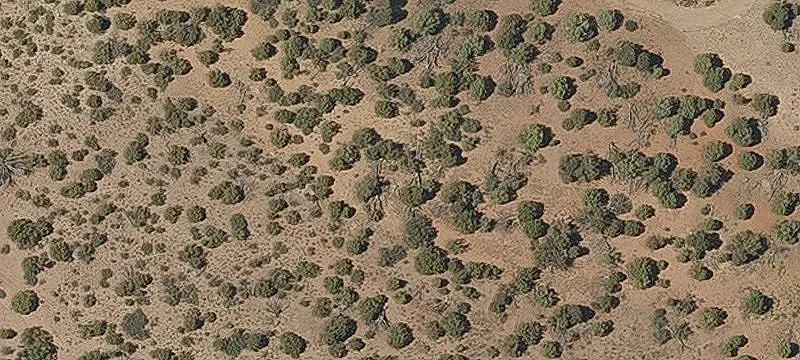Recreation Land with Producing Well Access