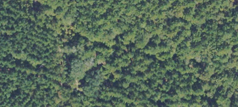 Buildable Acreage Home Site