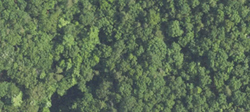 Wooded Land with Scenic Creek