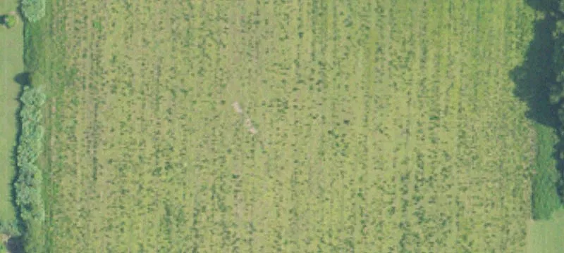 Cleared Pond-Front Cul-de-Sac Lot