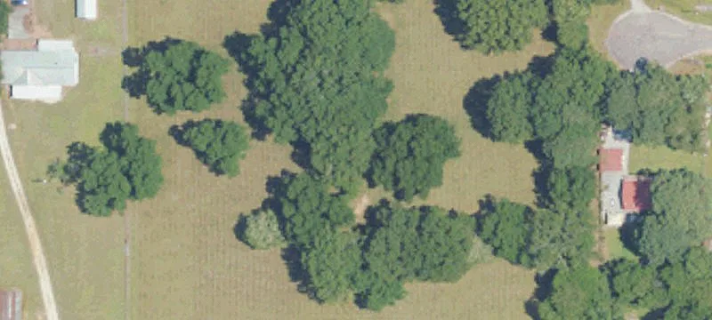 Freedom-Use Land Parcel