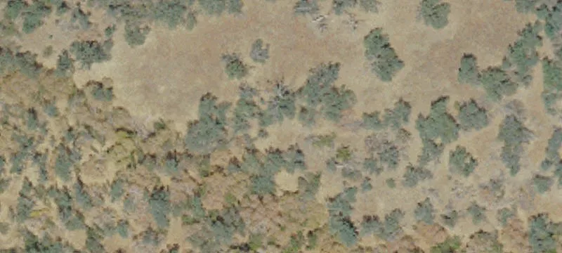 Secluded Buildable Land with Utilities