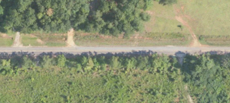 Secluded Forest Hunting Tract