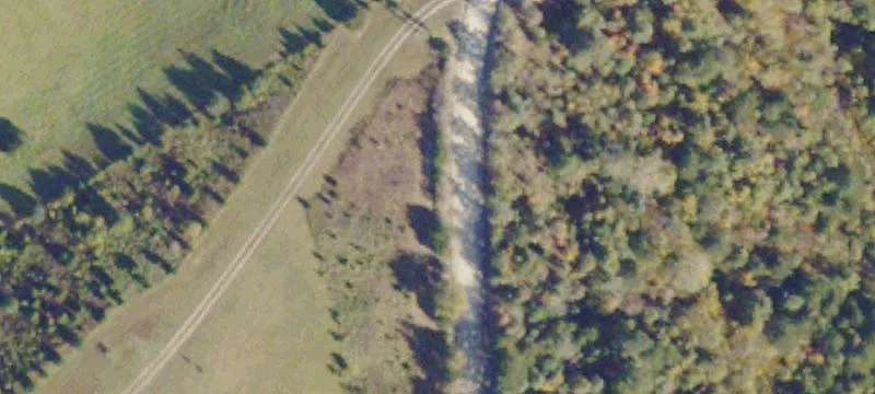 Hunting Land with Road Frontage
