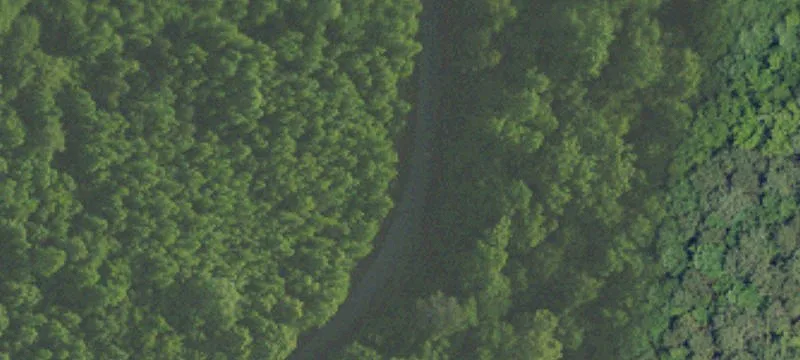 Wooded Agricultural Land Tract