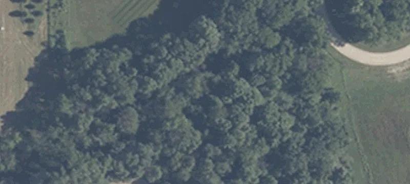 Wooded Ravine Home Lot