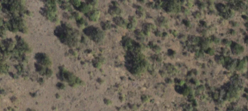 Hunting Land with Paved Frontage