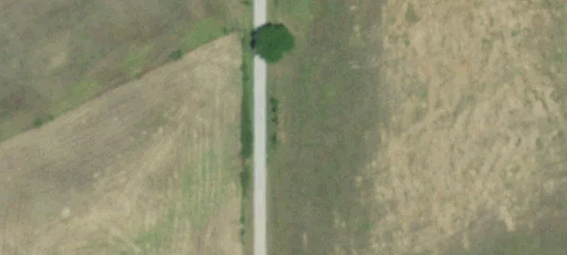 Working Ranch with Barndominium
