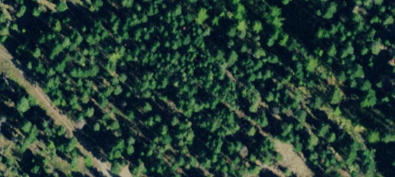 Residential Building Land with Utilities