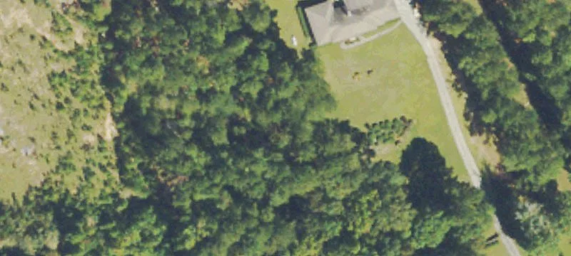 Wooded Residential Building Lot