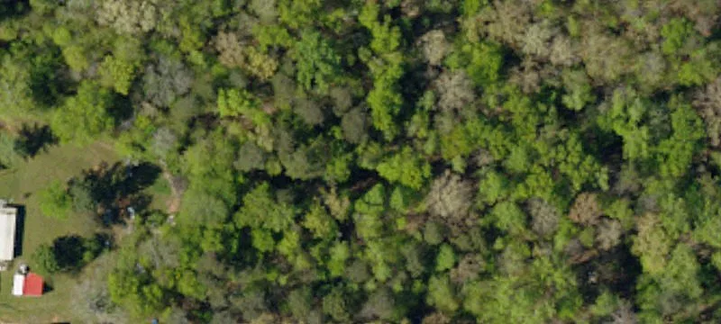 Agricultural Land Parcel