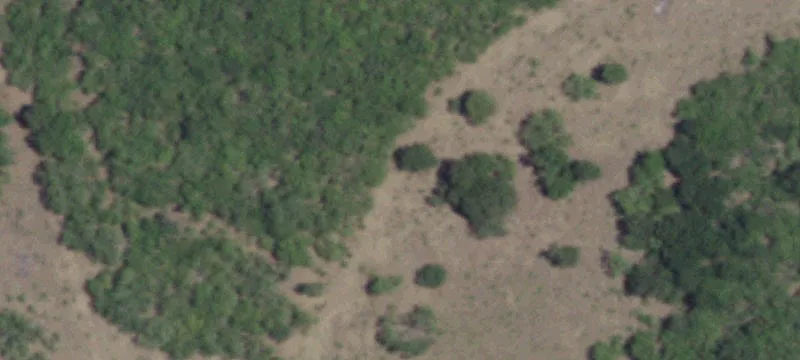 Agricultural Land with Estate Home