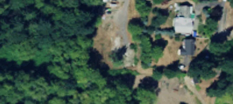 Residential Land Lot with Mature Trees