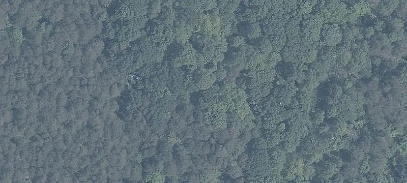 Recreation Land with Cleared Site