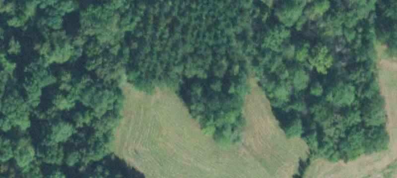 Recreational Hunting Farm with Barn