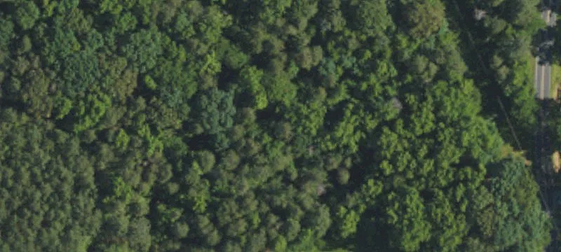 Wooded Country Acreage with Road Frontage