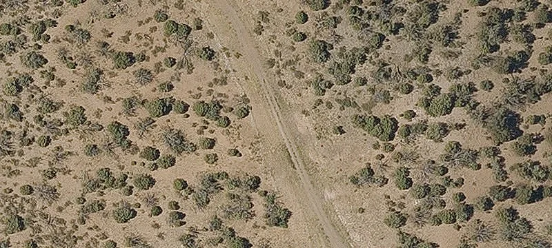 Horses-Friendly Ranch Land