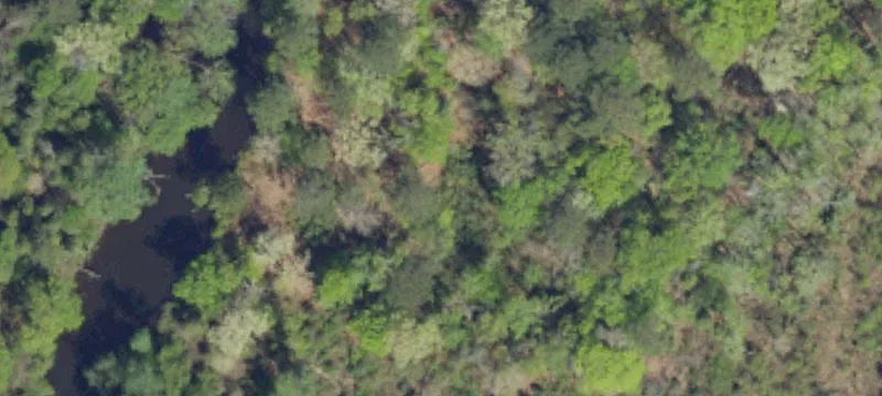 Hunting Land Tract