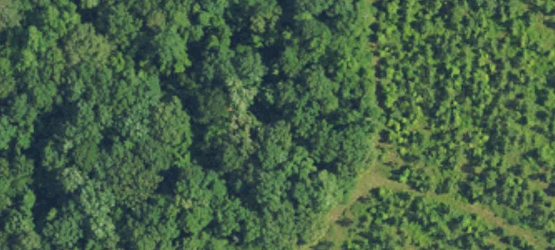 Agricultural Land Parcel