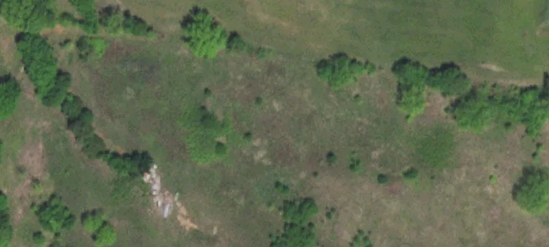 Unrestricted Land Tract With Mature Trees