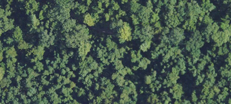 Hunting Land with Sleep-6 Camp