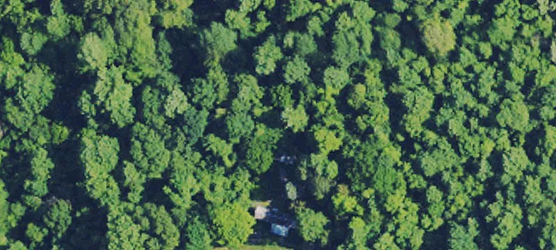 Wooded Tract with Workshop Building