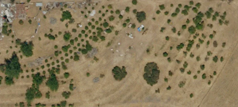 Light Agriculture Land with Residence