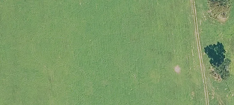 Active Tyson Poultry Farm
