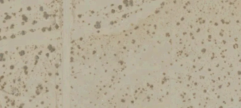 Desert View Residential Land