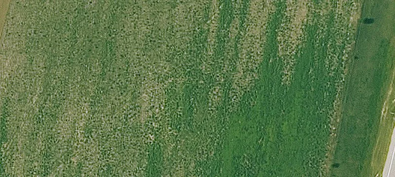 Agricultural Land Parcel