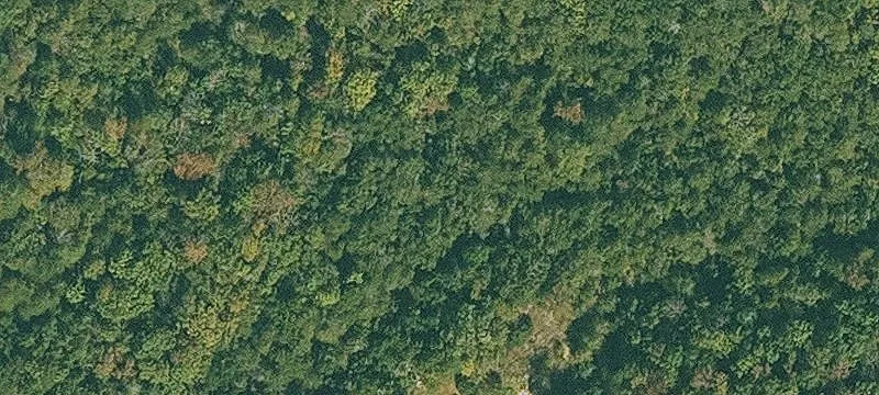 Recreational Hunting Land Parcel