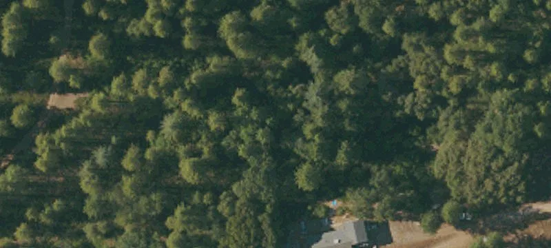 Wooded Residential and Livestock Land