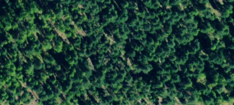 Forested Recreation Land with Cabin