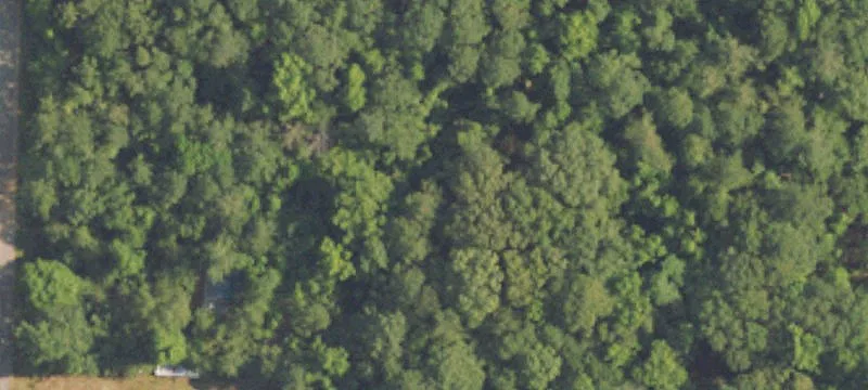 Wooded Recreational Land with Seasonal Creek