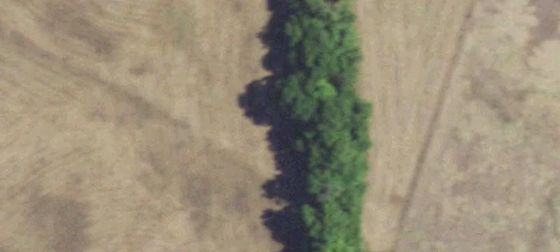 Wooded Custom Home Lot