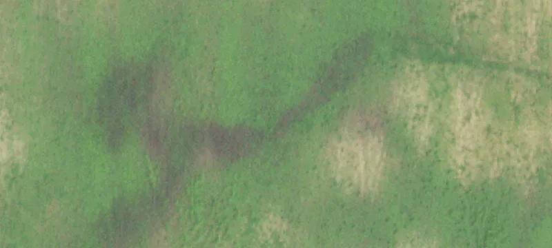 Solar-Leased Farmland Parcel