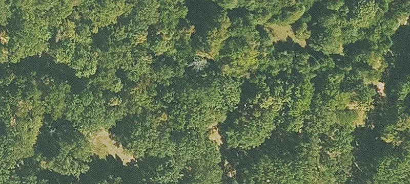 Gated Rural Recreational Land Parcel